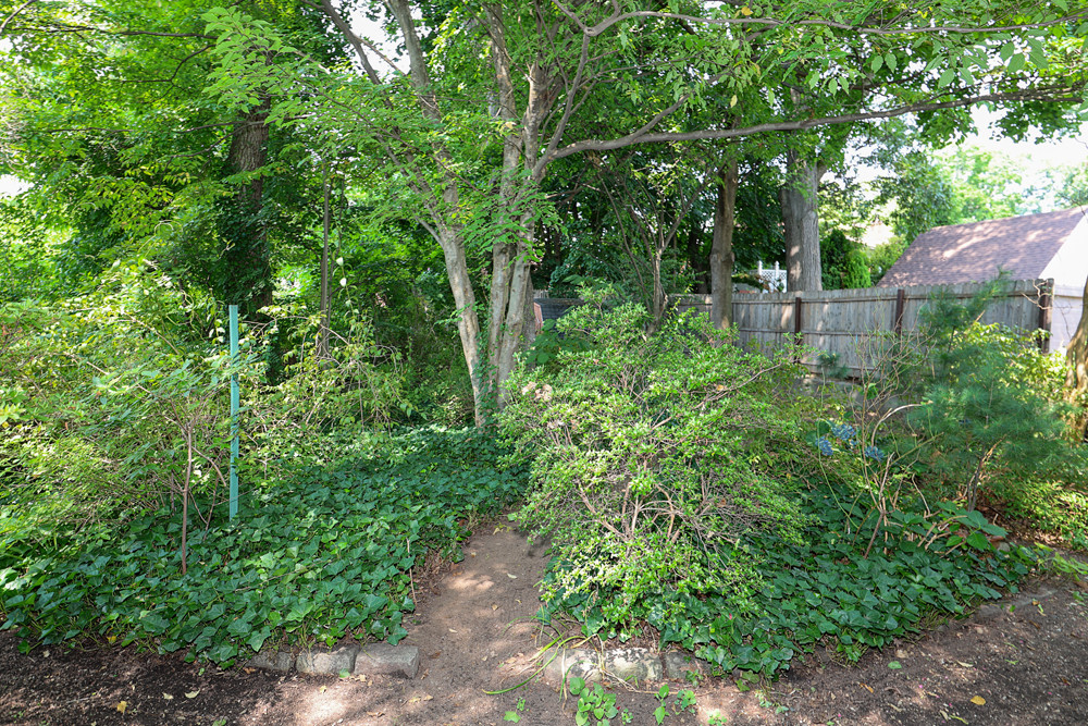86-54 Somerset St, Jamaica 38 86-54 Somerset St, Jamaica 38